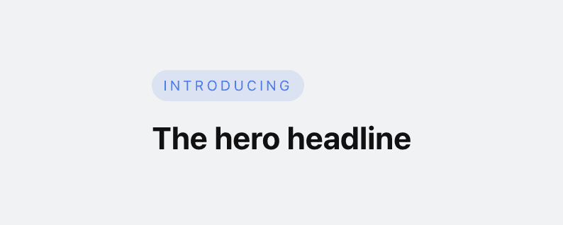 Hero eyebrow / pill chip