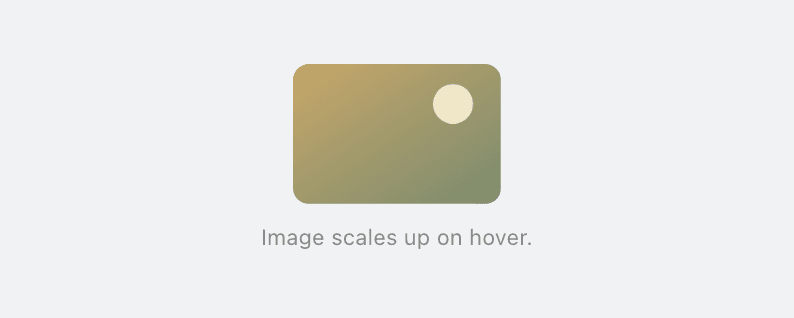 Image hover transform